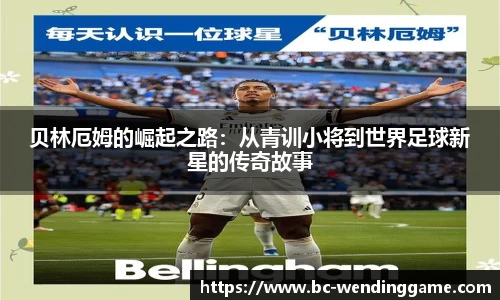 问鼎娱乐平台